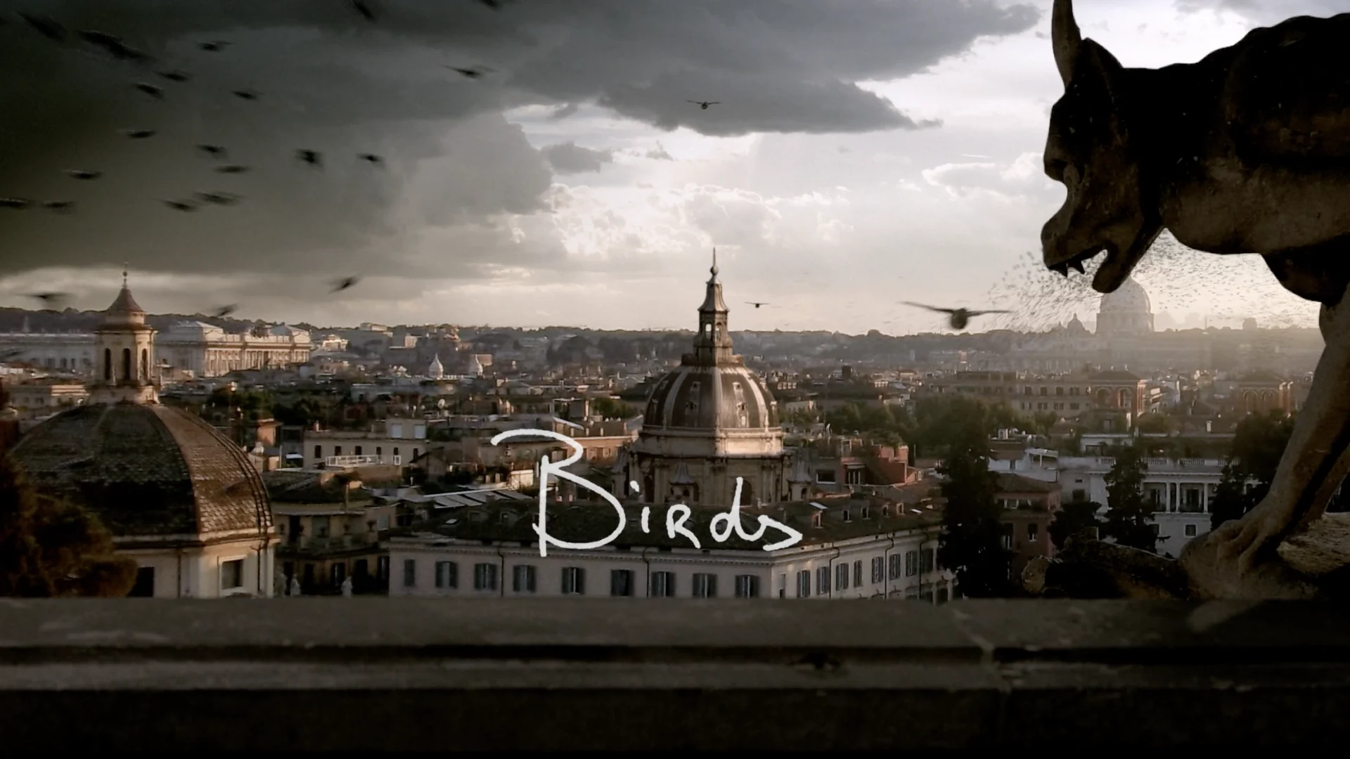The word Birds written over the rooftops of a city, birds circling a stone gargoyle