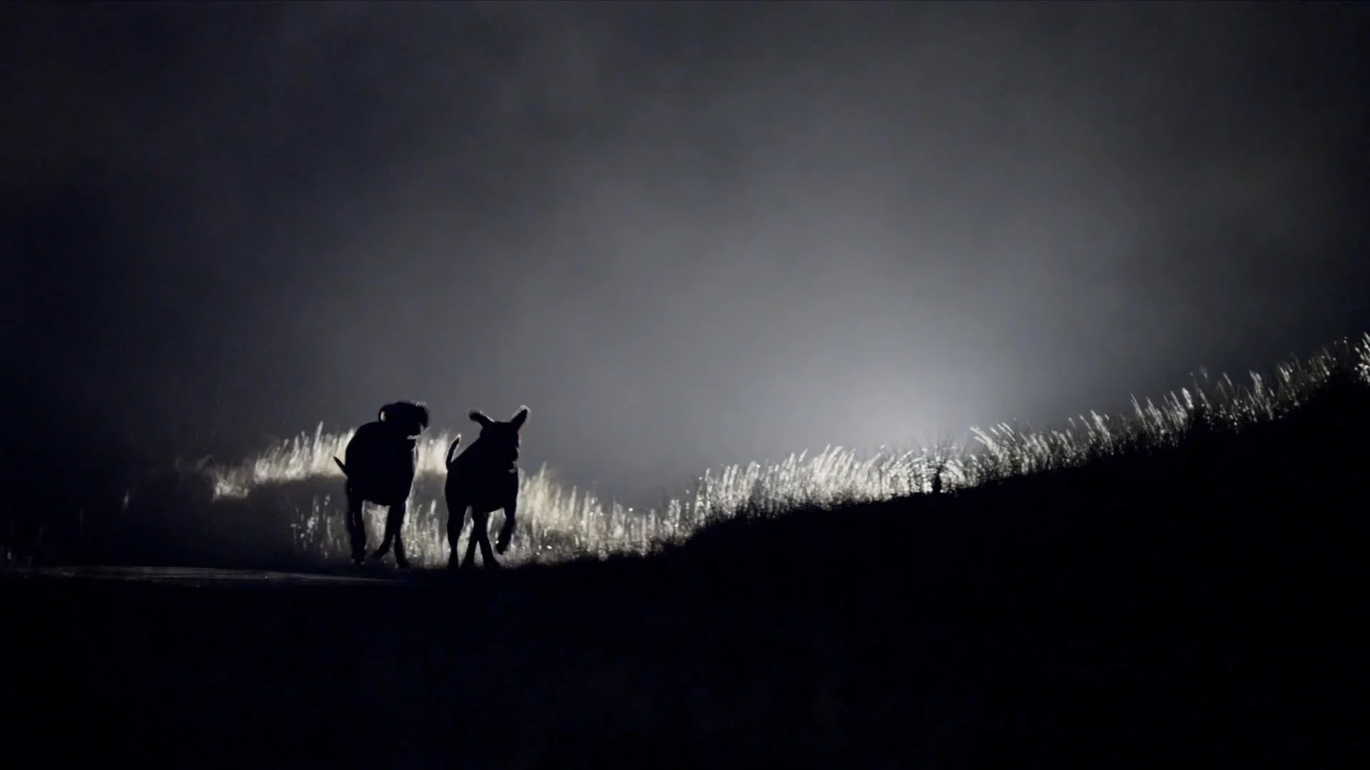 Two dark figures against a glowing night sky on a dune, in The Good Life