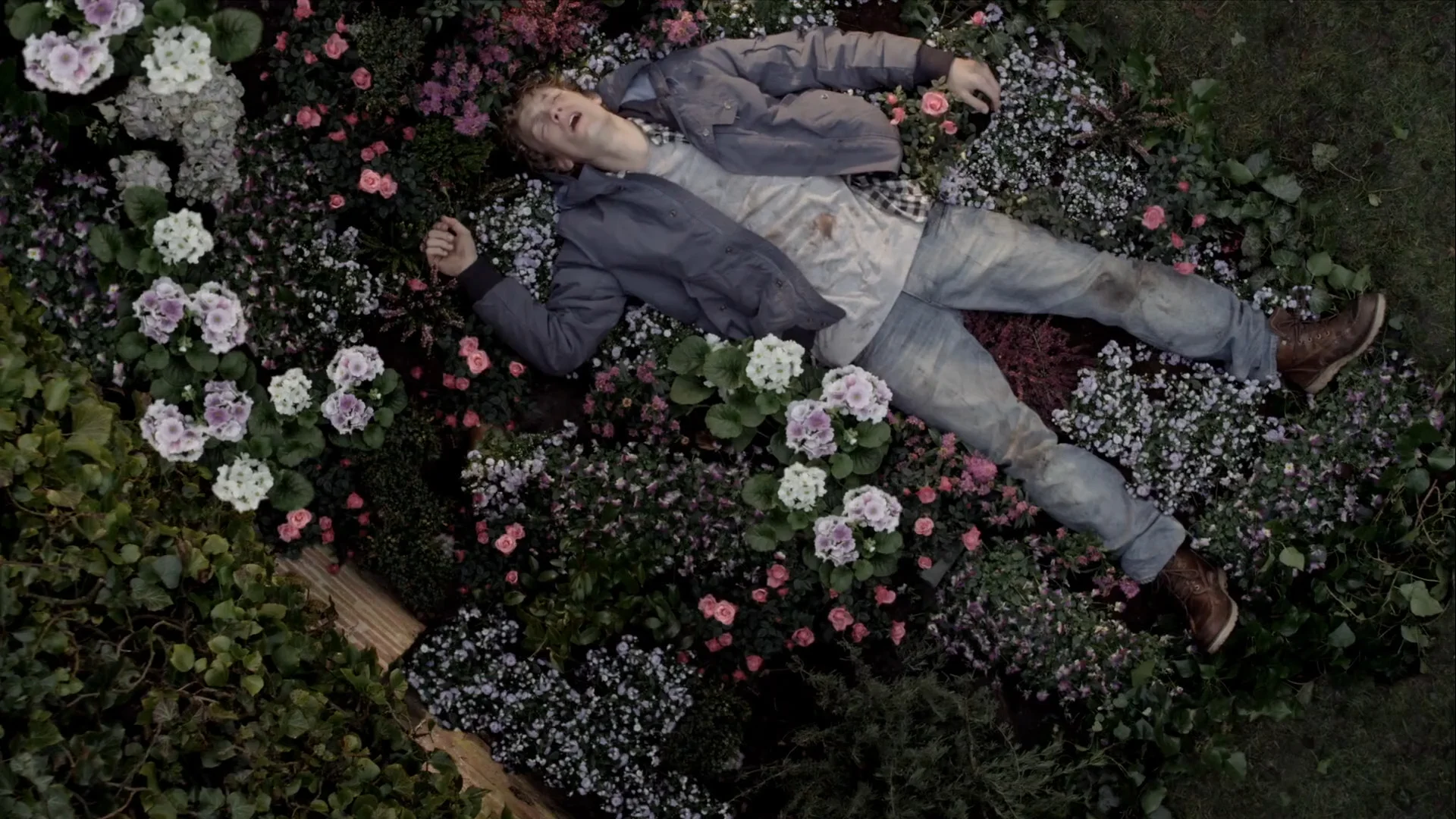 A young man lies in a bed of flowers, seen from above, in The Good Life