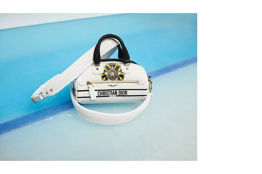 Dior Vibe bag on the ice