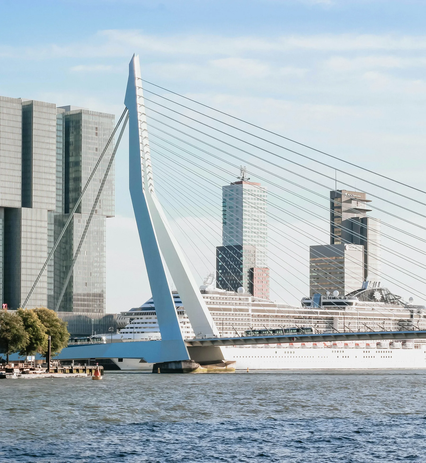 The Erasmus Bridge and the Kop van Zuid skyline