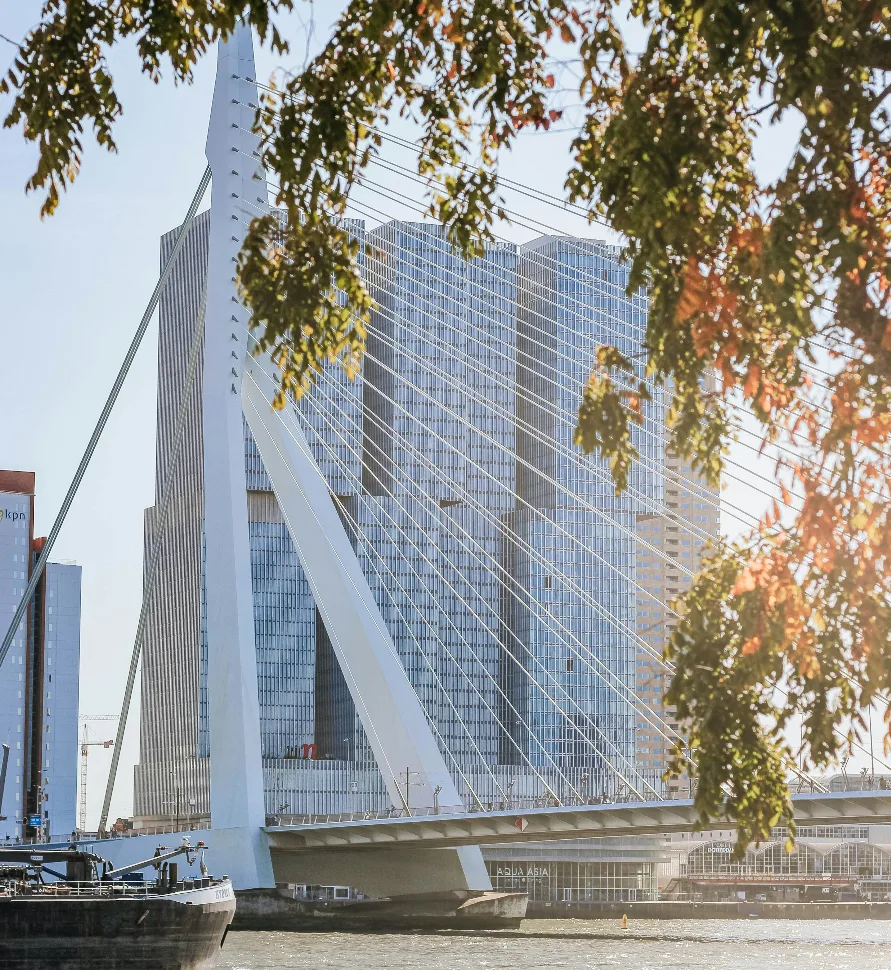 The Erasmus Bridge and the Kop van Zuid towers