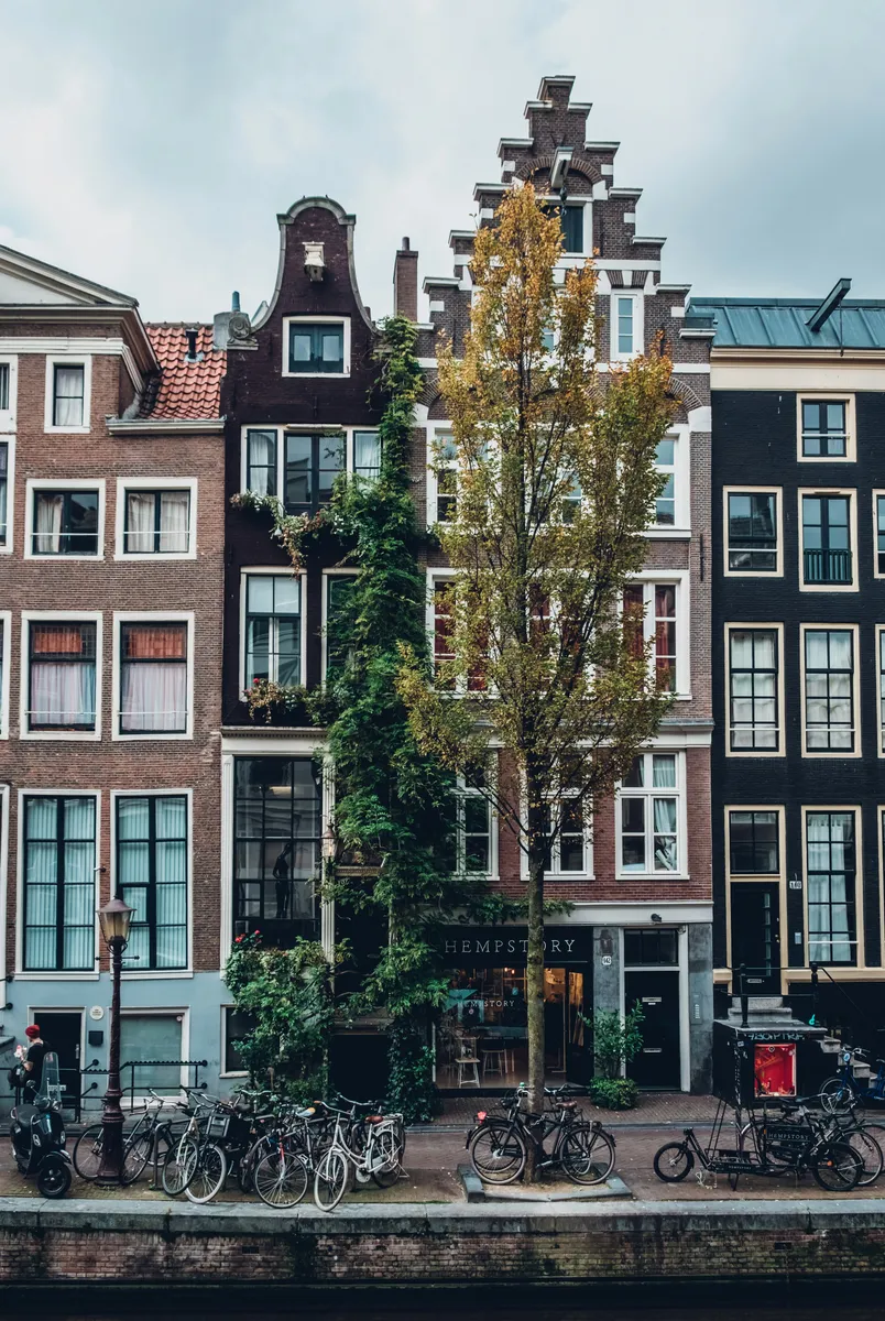 Narrow canal houses with a tree in front